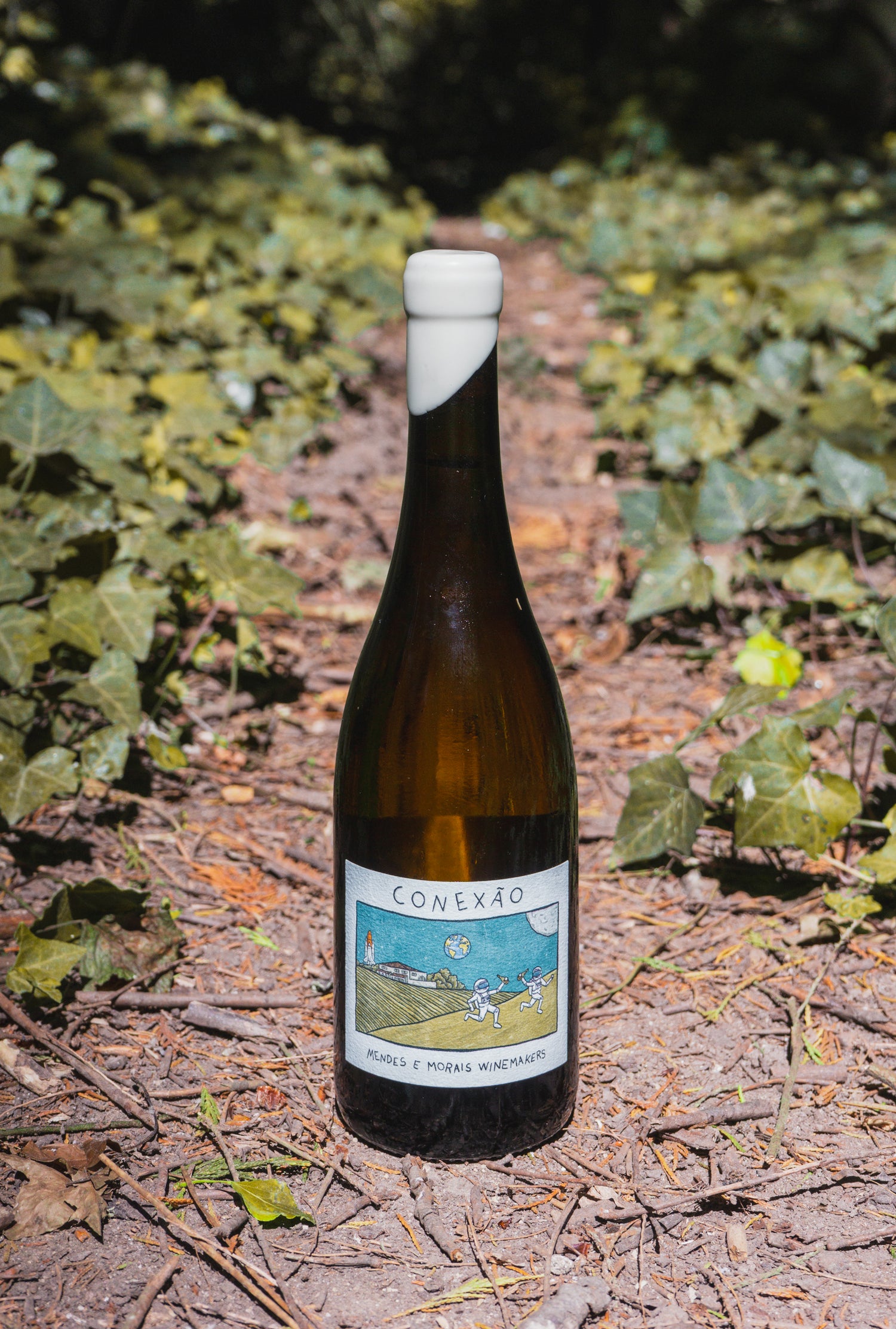 Conexão Alvarinho