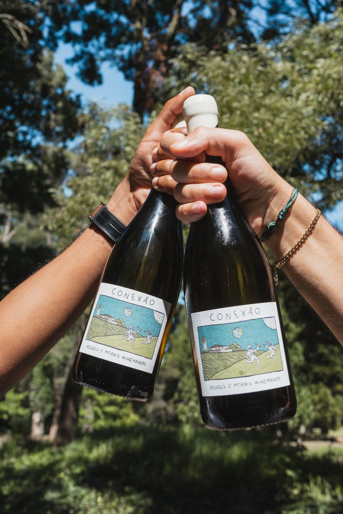 Conexão Wines
